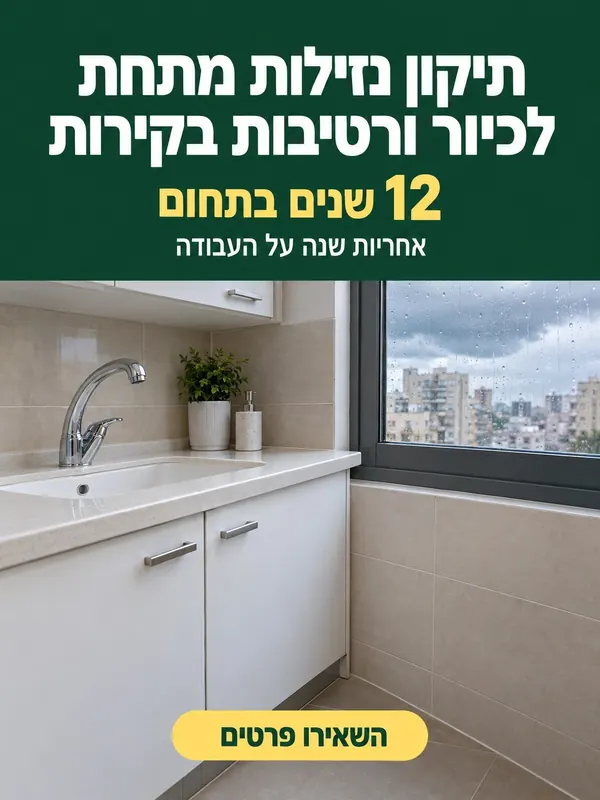 מודעה לדוגמה: תיקון נזילות מתחת לכיור, 12 שנים בתחום